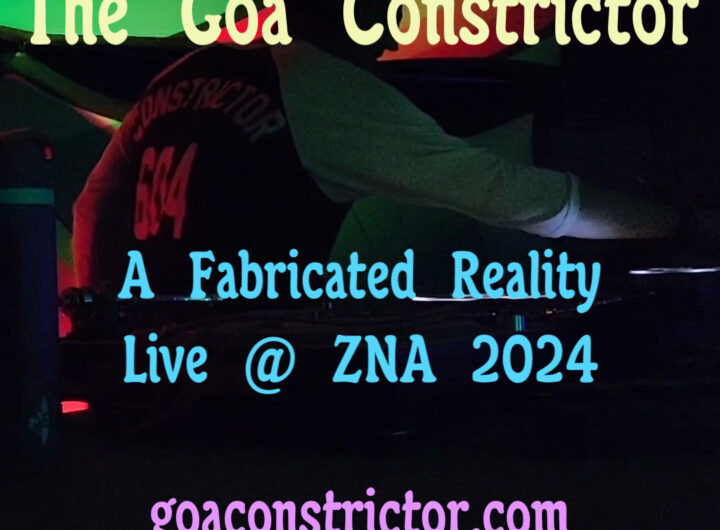 Fabricated Reality Cover